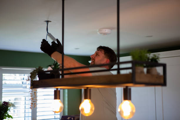 Best Electric Panel Repair  in Staunton, IL